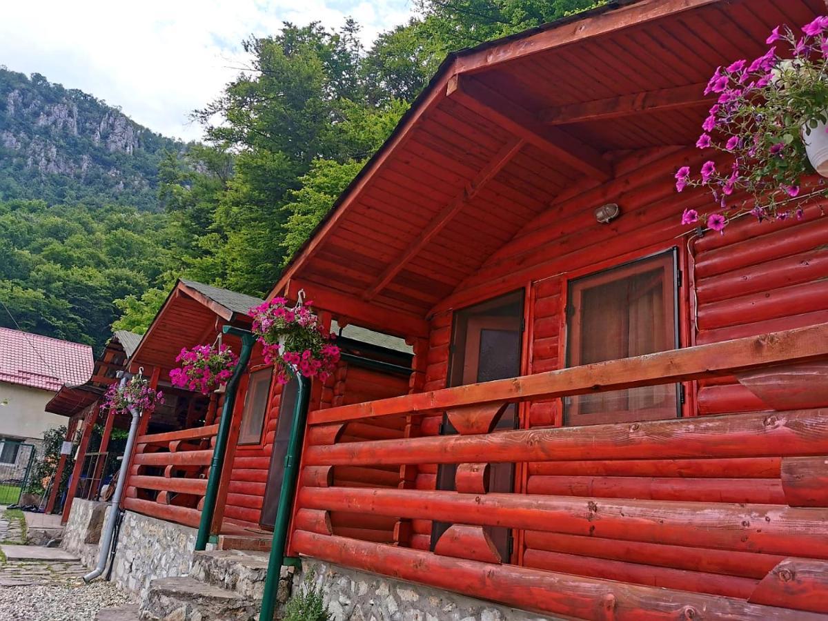 Casa BeaSarah. Villa Dubova Bagian luar foto
